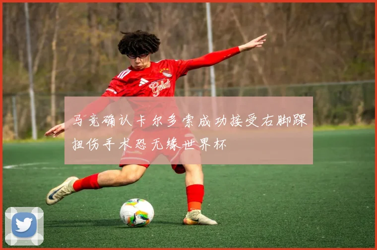 马竞确认卡尔多索成功接受右脚踝扭伤手术恐无缘世界杯