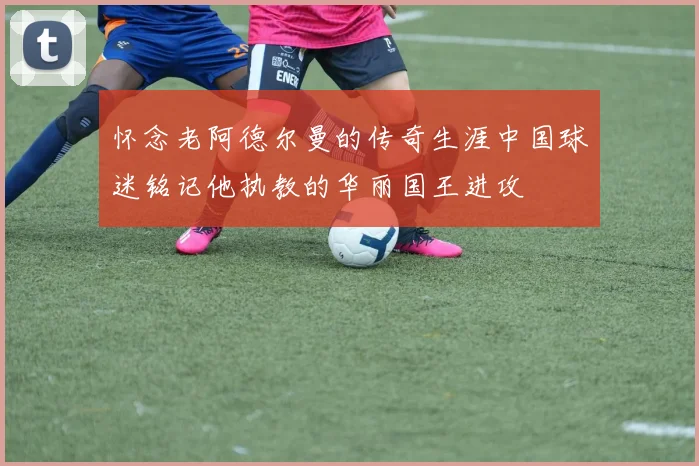 怀念老阿德尔曼的传奇生涯中国球迷铭记他执教的华丽国王进攻